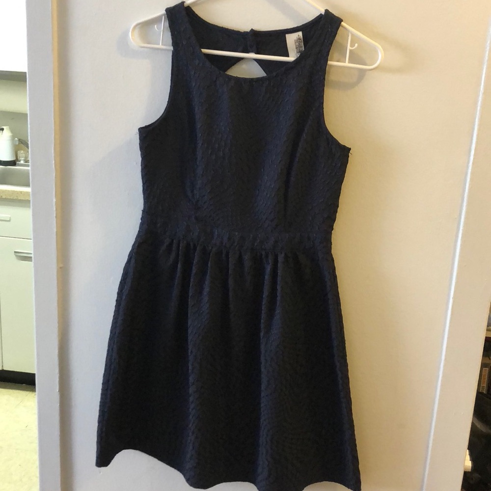 Francesca’s Dress